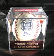 Molina Baseball